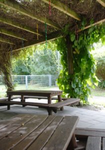 Garden - Dining Corner