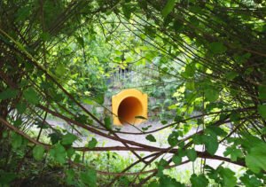 Garden - Tunnel
