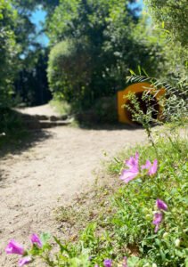 Garden - Tunnel and path to the sports field